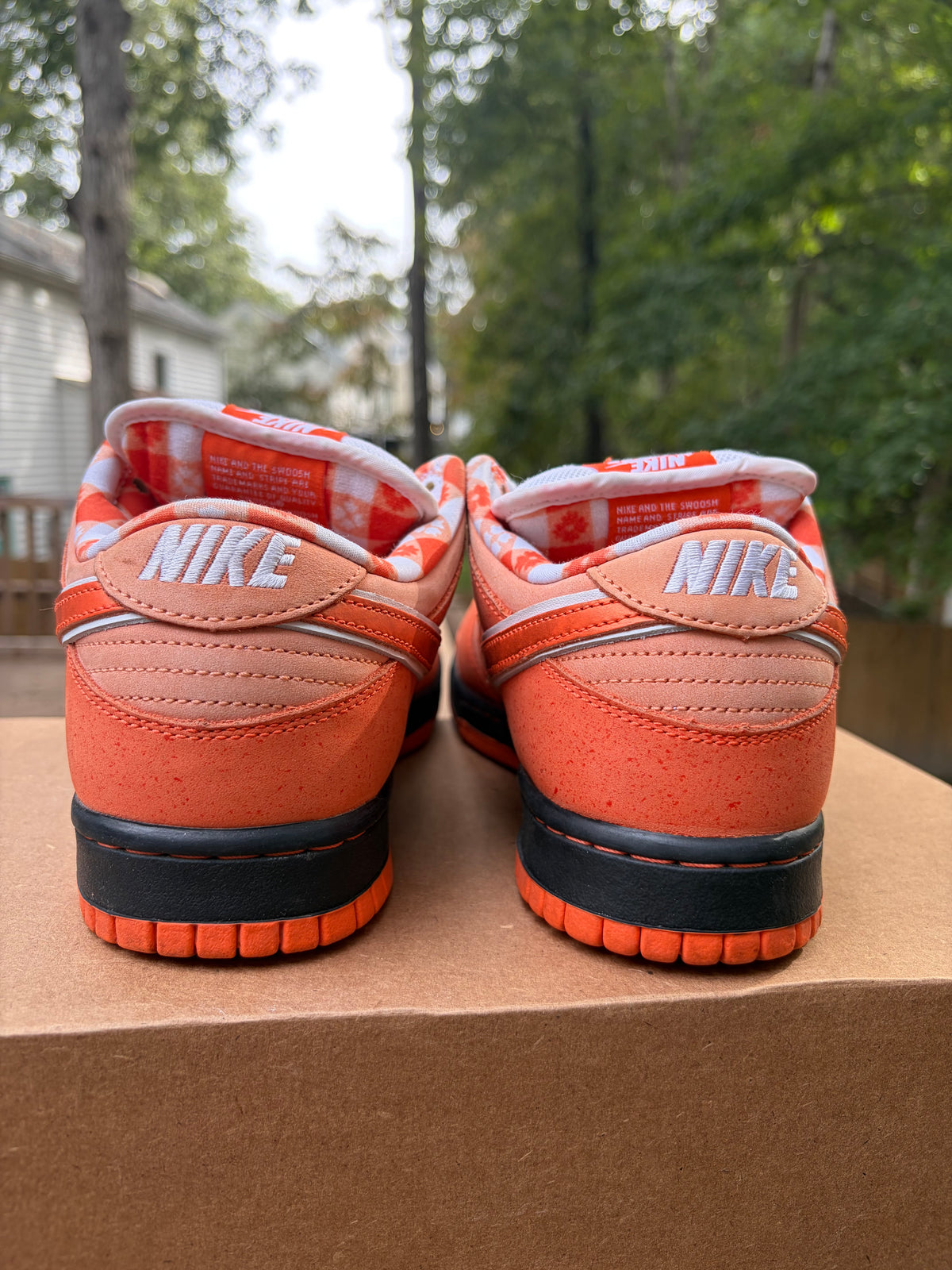 Sz 8.5M Nike SB x Concepts Orange Lobster - Preowned, No Box