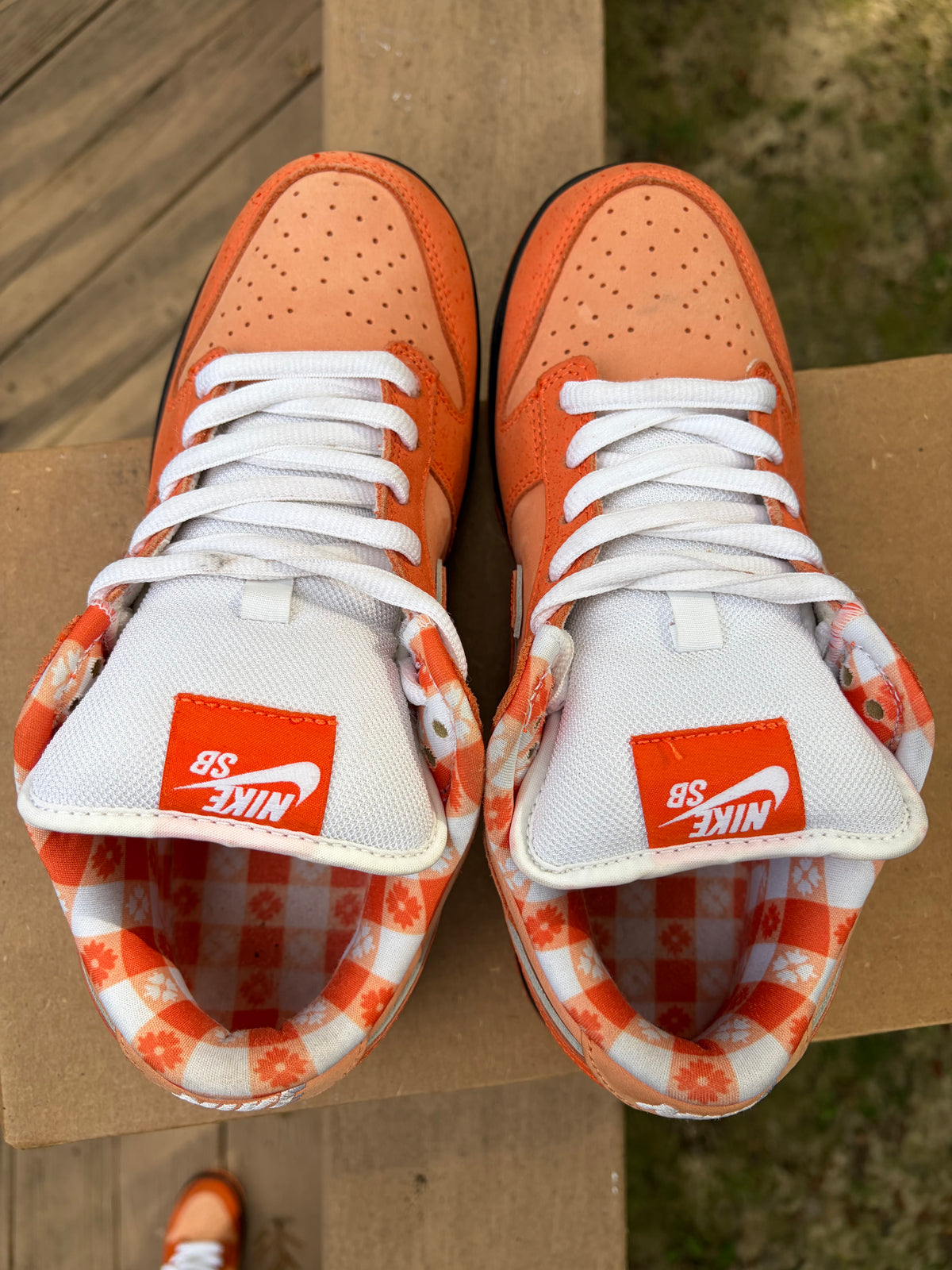 Sz 8.5M Nike SB x Concepts Orange Lobster - Preowned, No Box