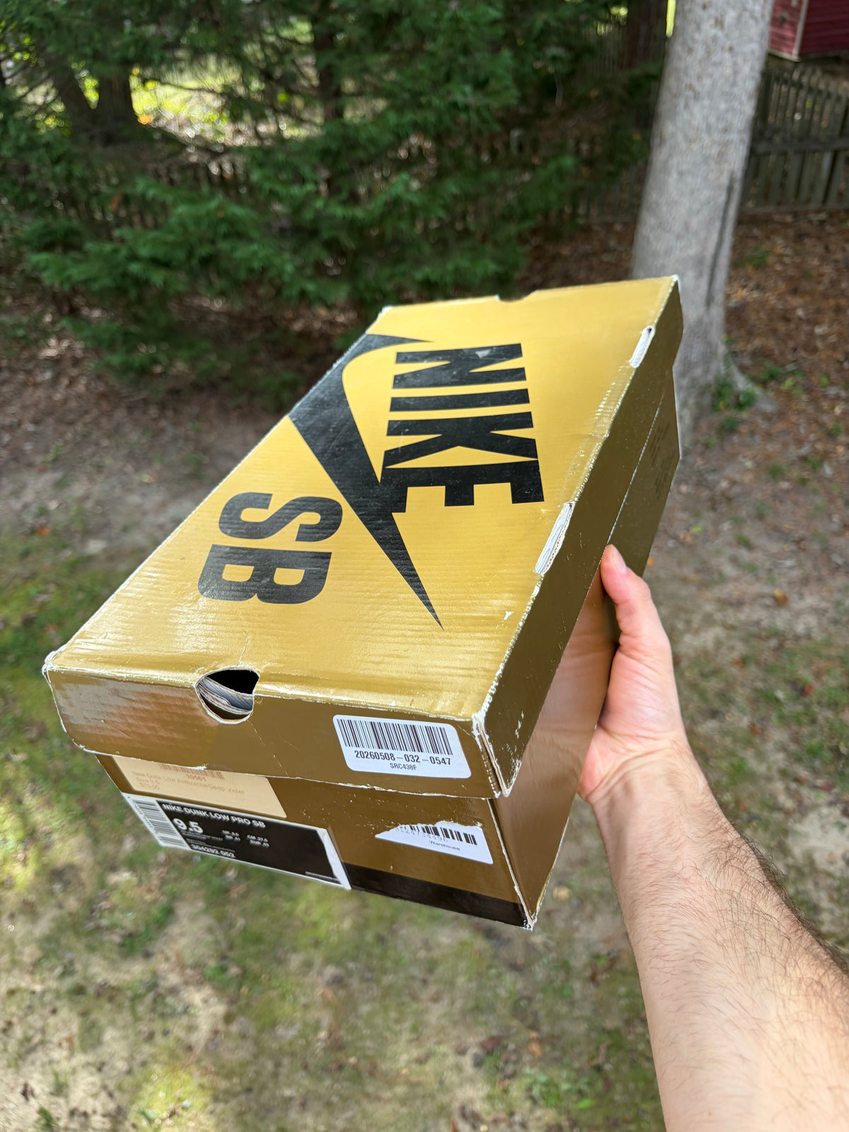 (2008) sz 9.5M Nike SB Low Appetite For Destruction - Lightly Worn, Original Box