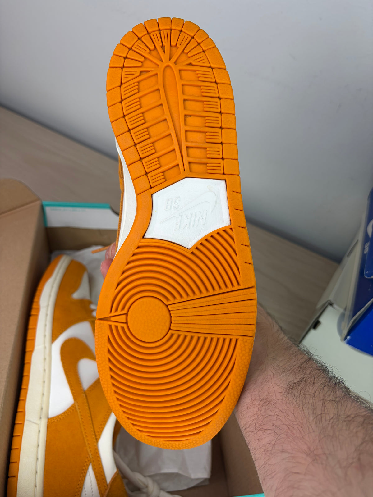 (2017) sz 8M Nike SB Low Circuit Orange - Brand New, Original Box