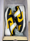 (2006) sz 9.5M Nike SB Low Bic - Preowned, Original Box