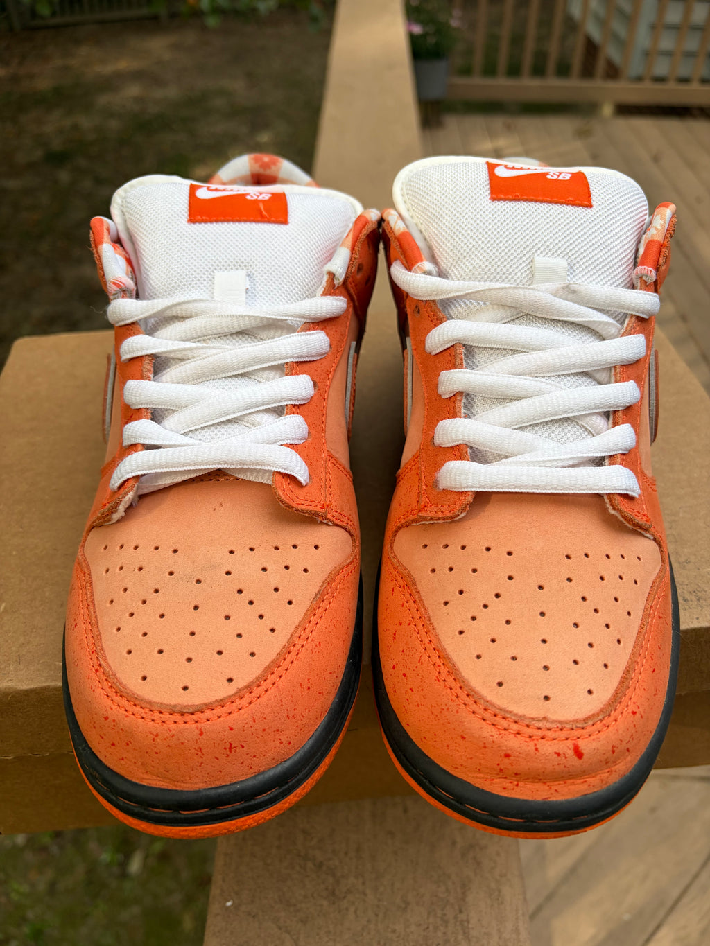Sz 8.5M Nike SB x Concepts Orange Lobster - Preowned, No Box