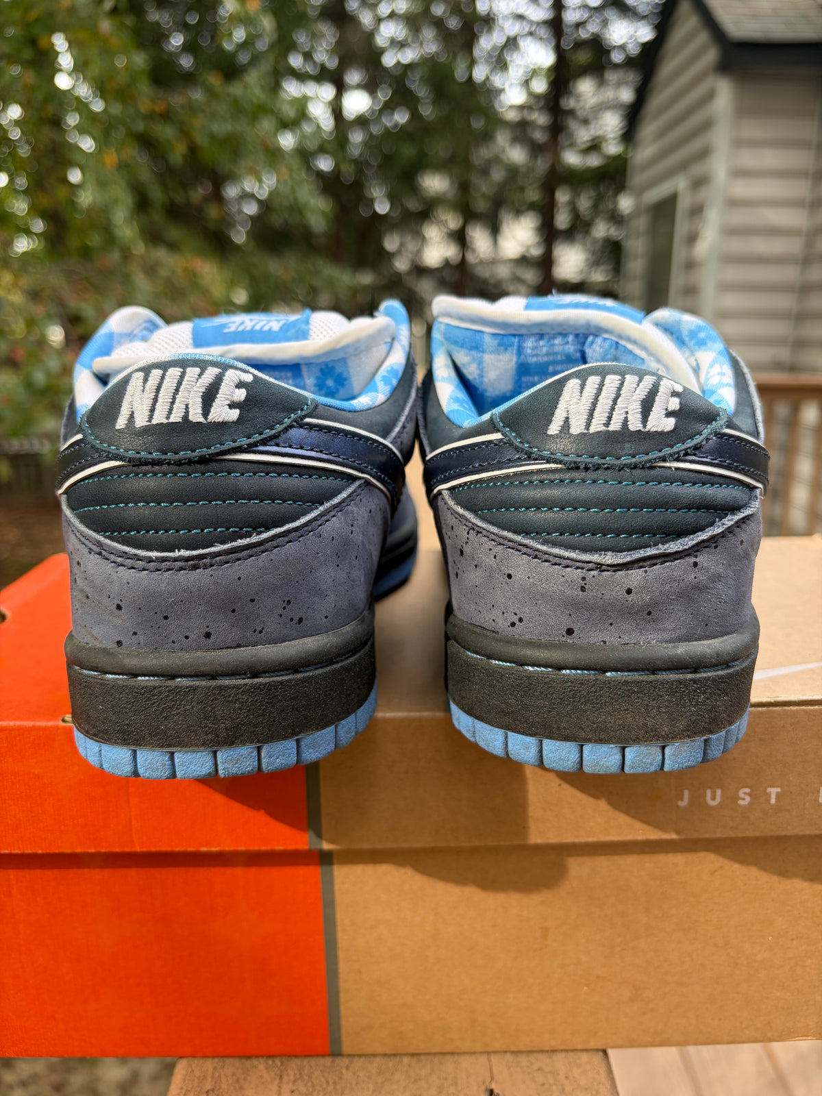 Sz 8.5M Nike SB x Concepts Blue Lobster - Lightly Worn, Original Box