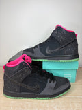 (2014) sz 9M Nike SB High Premier Northern Lights – Preowned, Original Box